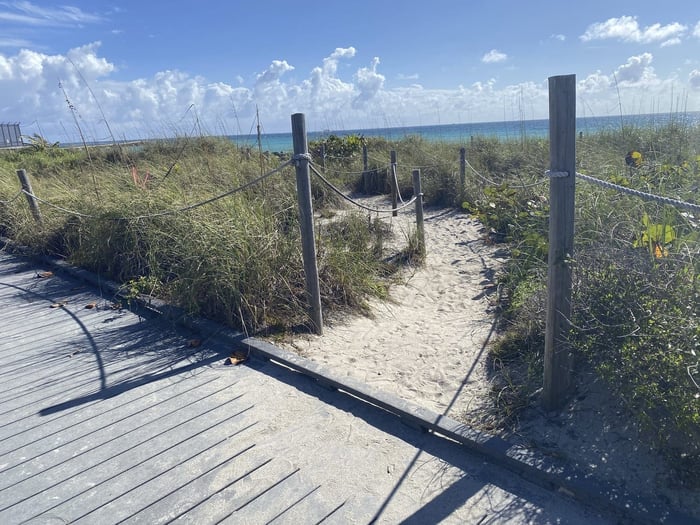Mizell Johnson State Park Boardwalk — image 5