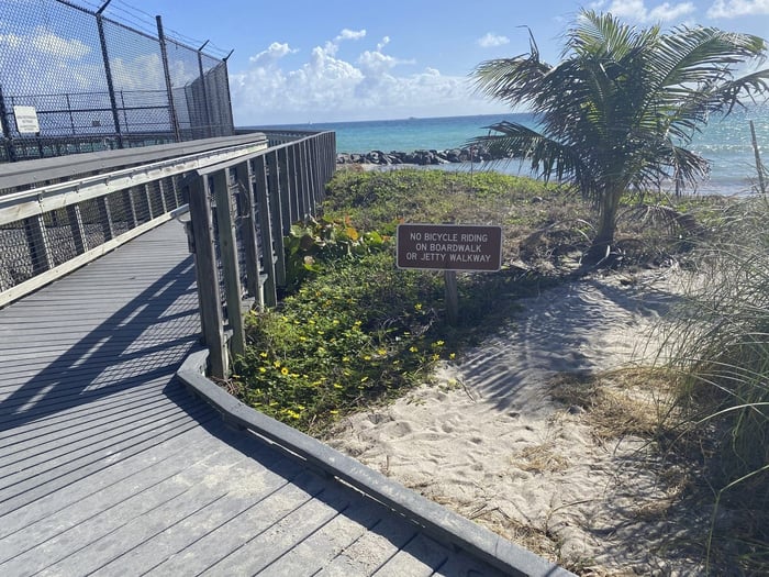Mizell Johnson State Park Boardwalk — image 6