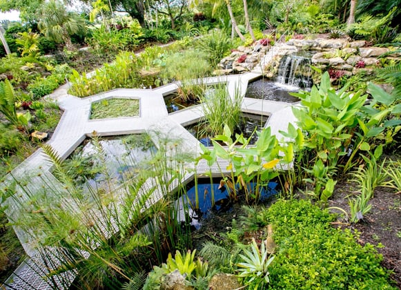 Mounts Botanical Garden