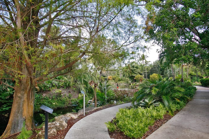 Mounts Botanical Garden — image 4