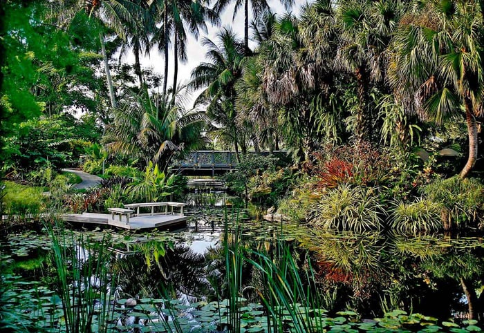Mounts Botanical Garden — image 1