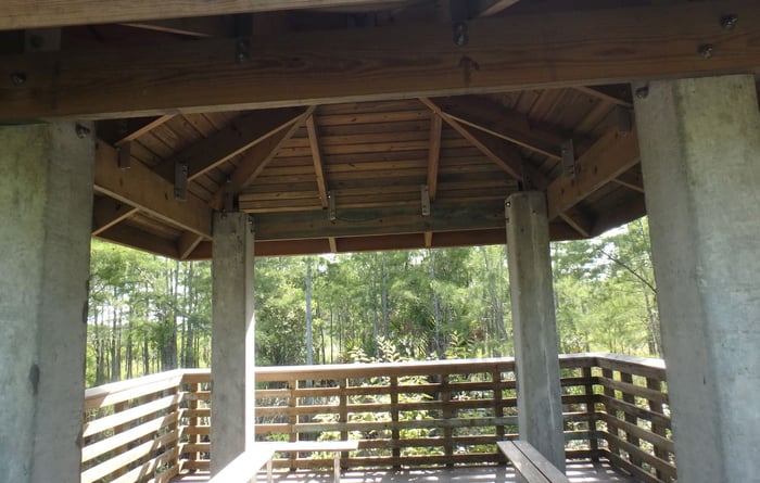 North Jupiter Flatwoods — image 2
