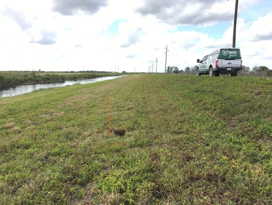 North Line of STA5 and the STA5 Discharge Canal