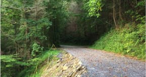 Old CCC Camp Road Landslides Topographic Survey — image 1