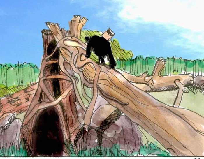 Palm Beach Zoo- Bear Habitat — image 2