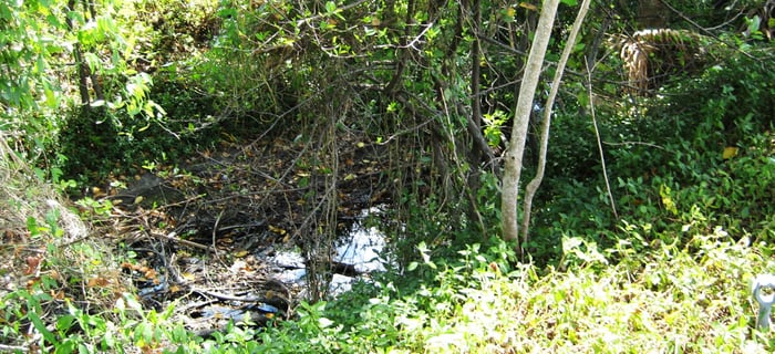 Palmetto Park Road Widening West of St. Andrews Boulevard to I-95 — image 1