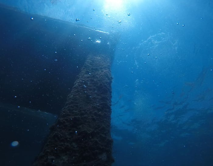 Peanut Island Floating Dock Replacement — image 2