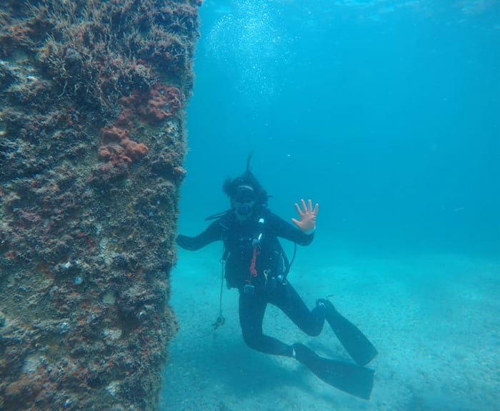 Peanut Island Floating Dock Replacement — image 1