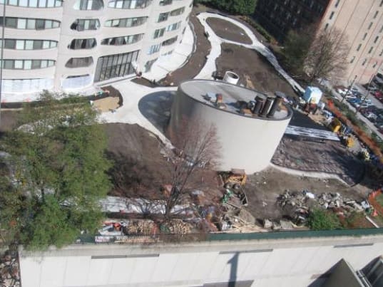 River Road Park Green Roof Plaza Restoration — image 2