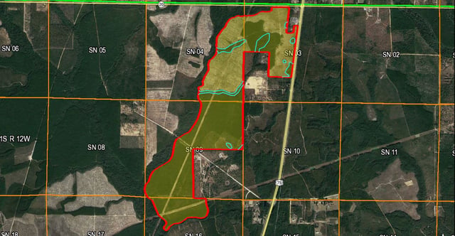 Saw Palmetto Solar Site