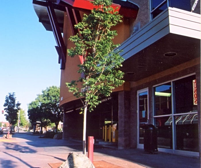 South Parking Garage — image 2
