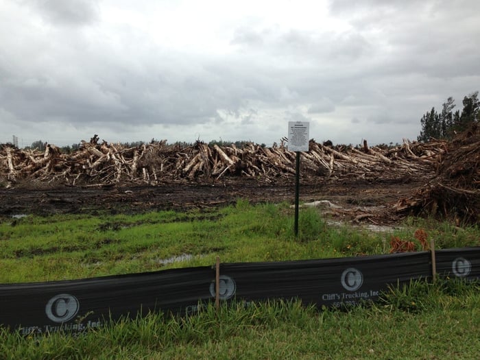 Sterling Ranches Wetland Mitigation Area — image 2