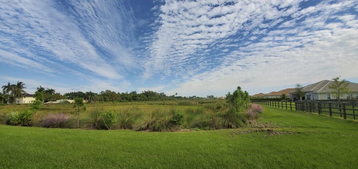 Sterling Ranches Wetland Mitigation Area — image 1