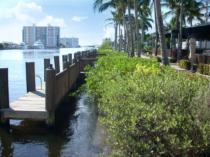 Submerged Aquatic Vegetation (SAV) Survey Along Marine Way — image 1