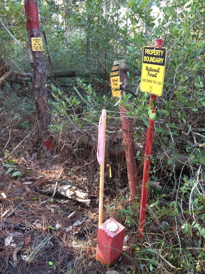 Talquin Transmission Line — image 2
