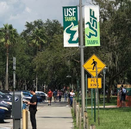 University of South Florida Parking Operations Study and Strategic Plan — image 1