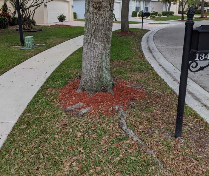 Valencia Falls Arborist Services — image 3