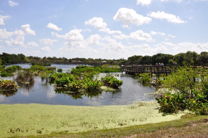 Wakodahatchee Wetlands — image 2