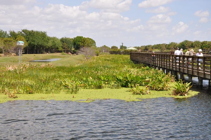 Wakodahatchee Wetlands — image 5