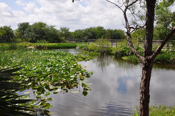 Wakodahatchee Wetlands — image 6
