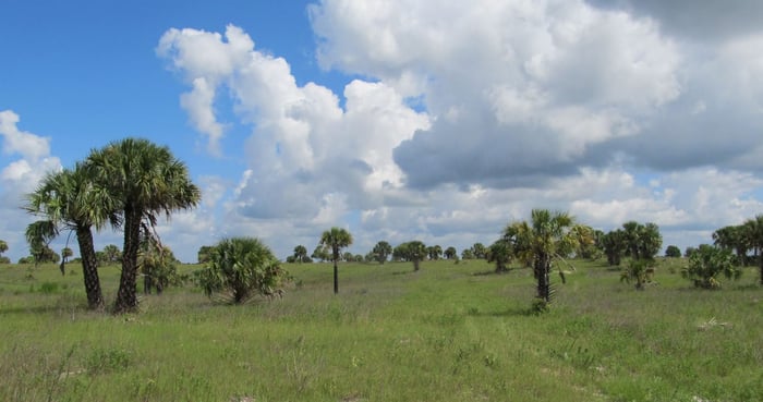 Wekiva Parkway Survey — image 1