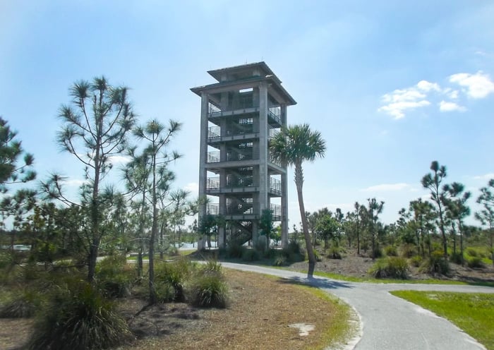 Wellington Observation Tower — image 2