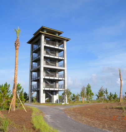 Wellington Observation Tower
