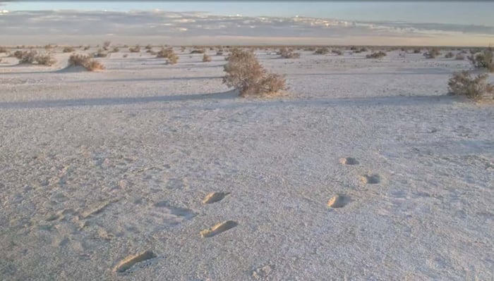 White Sands National Park — image 3