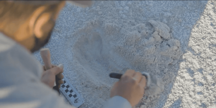 White Sands National Park — image 7