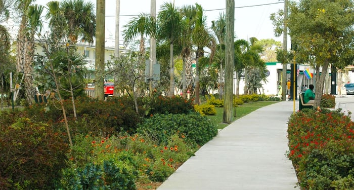 Wilton Drive Streetscape Design — image 1