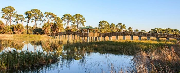 Winding Waters Natural Area Boardwalks & Observation Towers — image 4