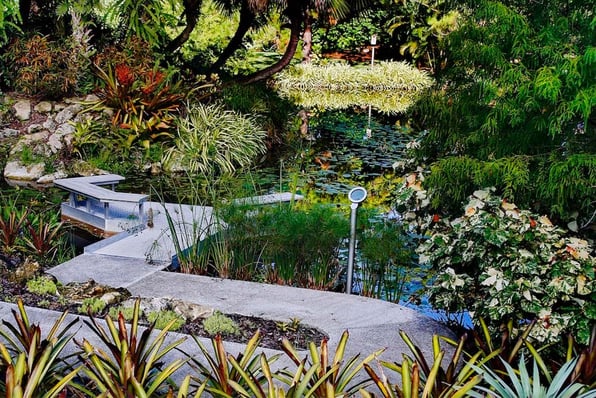 Mounts Botanical Garden (2)