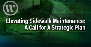 A-Call-for-a-Strategic-Plan-300x158