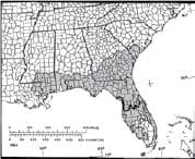 A brief history of Pine Flatwoods in South Florida - WGI