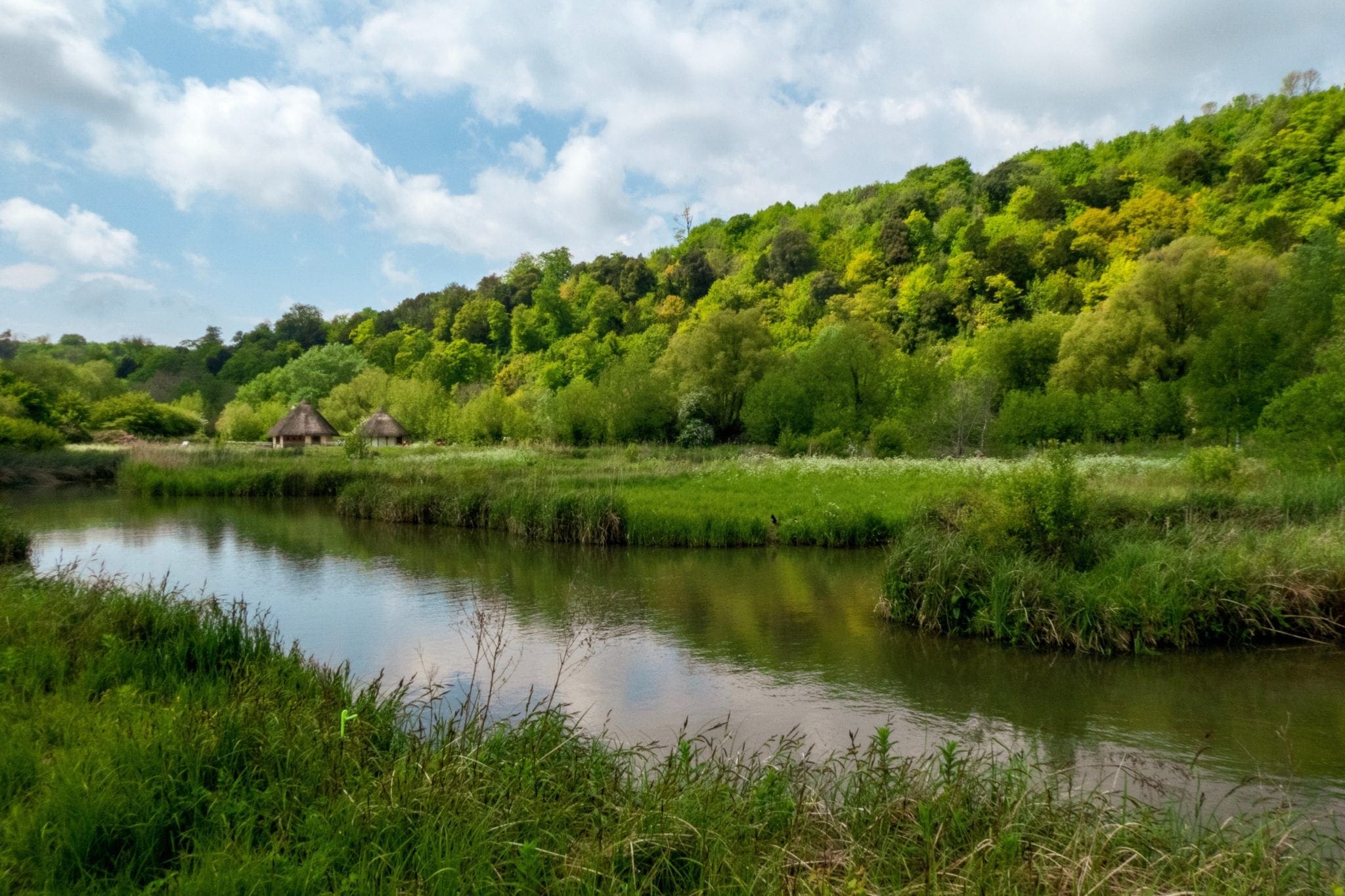 Wetlands