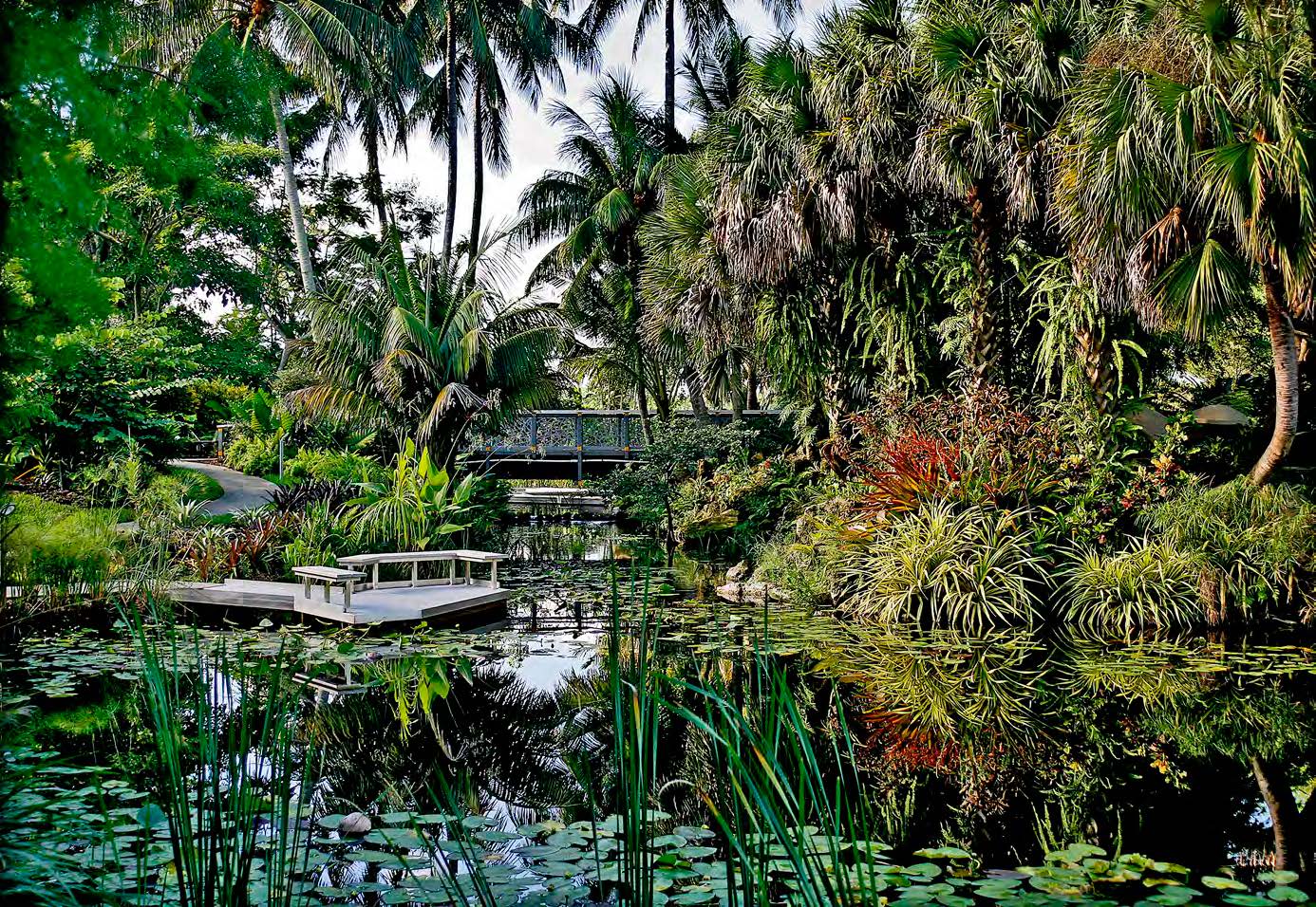 2017 Florida Urban Forestry Council Outstanding Project Award