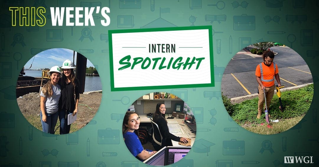 Intern Spotlight