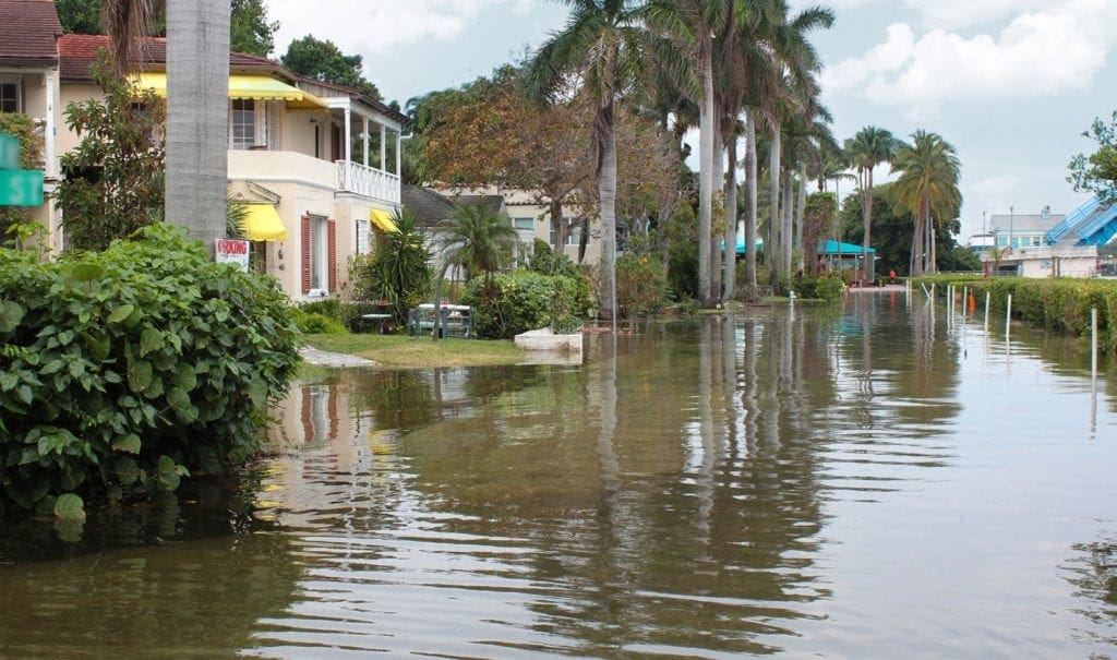 In the Age of Climate Change, Storm Hardening is Essential WGI
