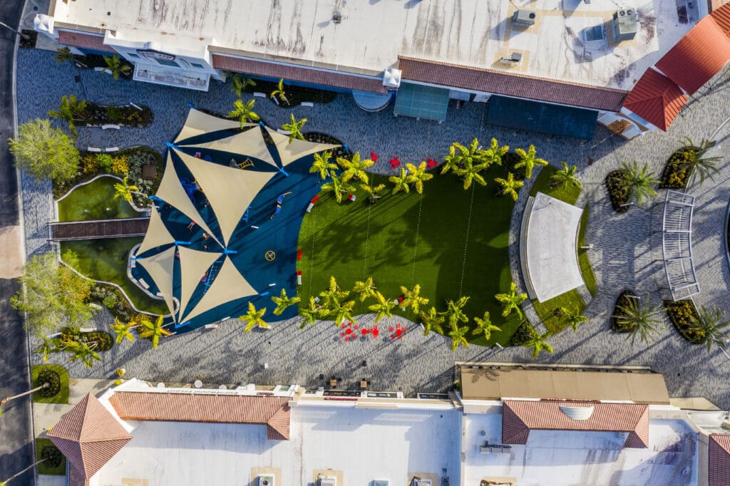 aerial view of plants 