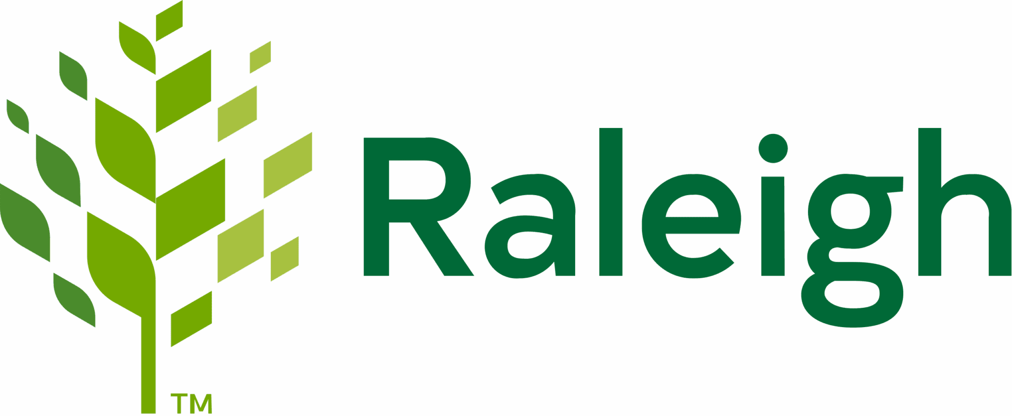 City of Raleigh