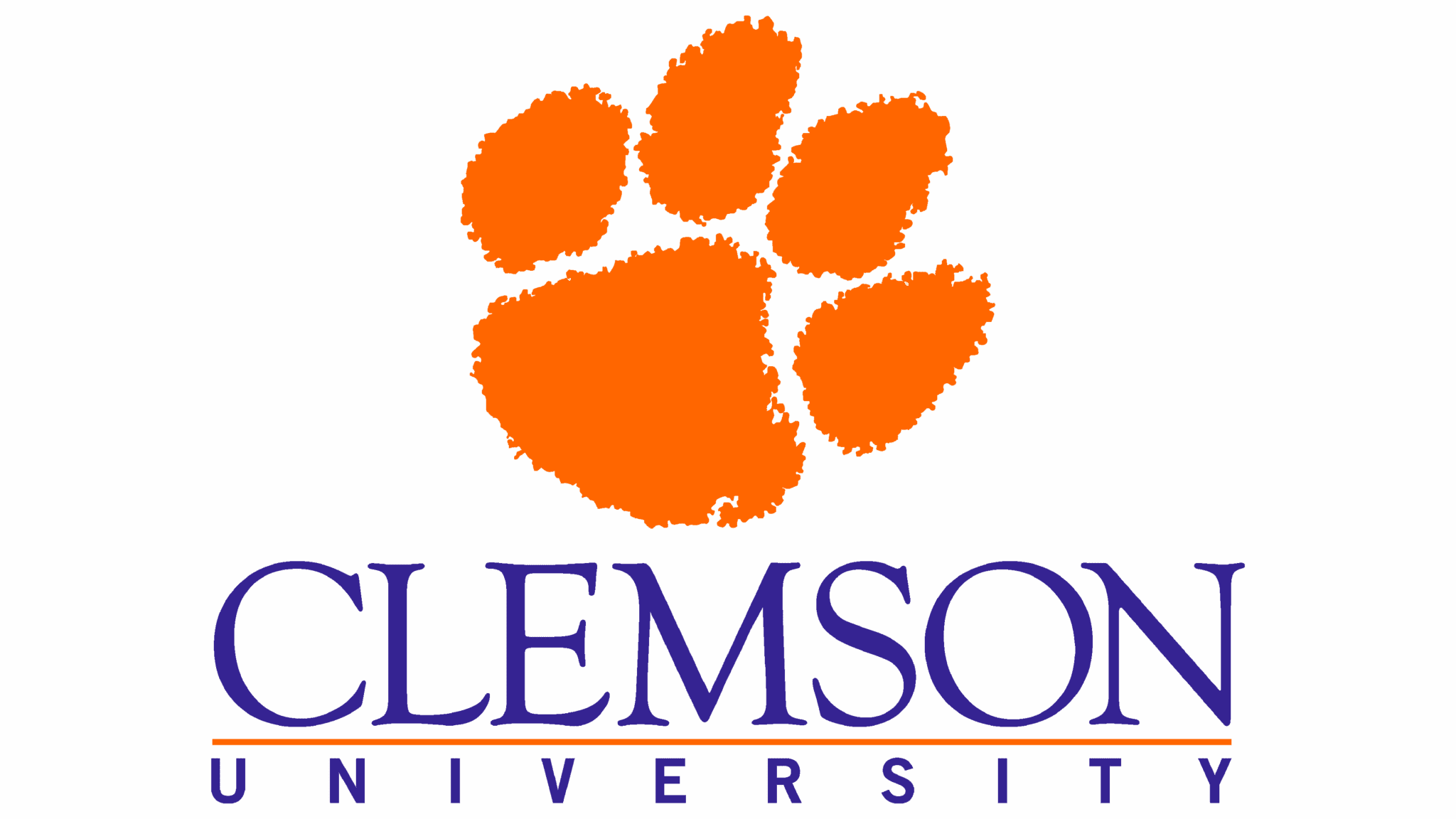 Clemson University
