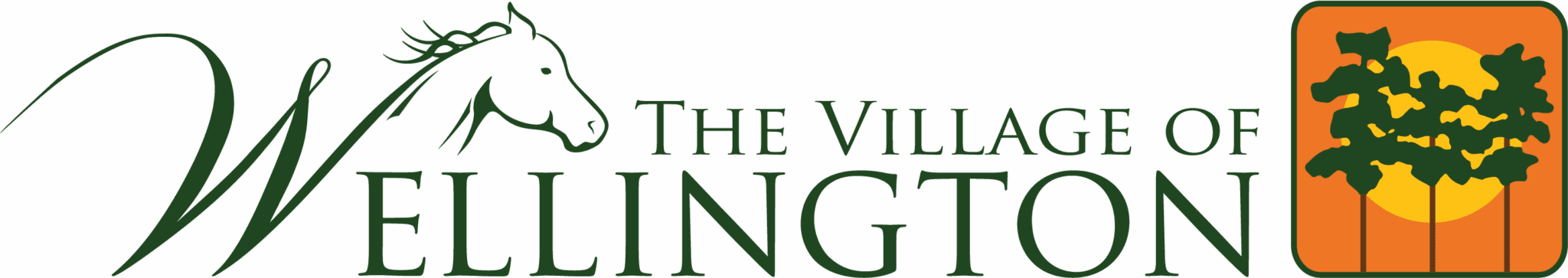 Village of Wellington