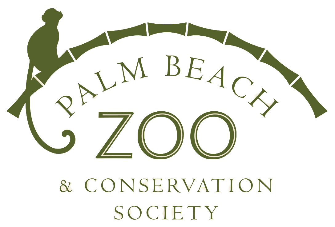 Palm Beach Zoo