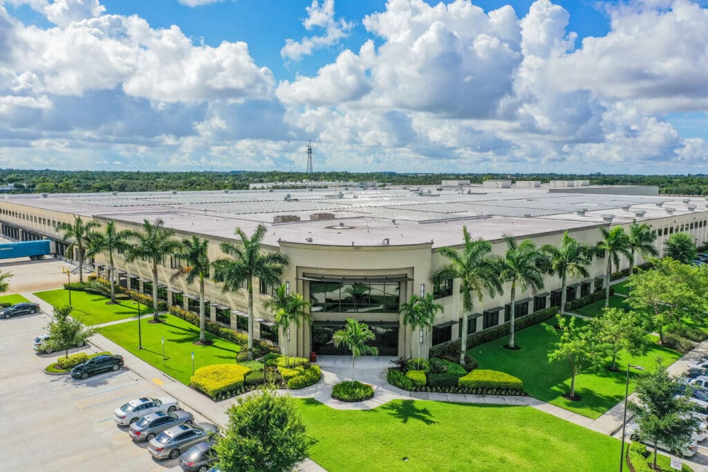 palm trees lining building