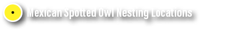 Mexican Spotted Owl Nesting Loc