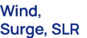 Wind, Surge, SLR