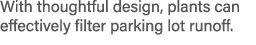 With thoughtful design, plants can effectively filter parking lot runoff.